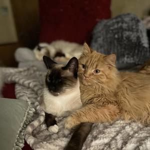 Meet your Posher, Melinda